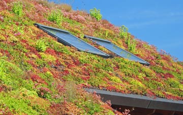 Fallinge living roof systems